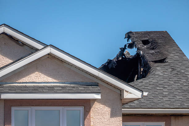 Top rated local Odor Removal specialists in Runnemede, NJ